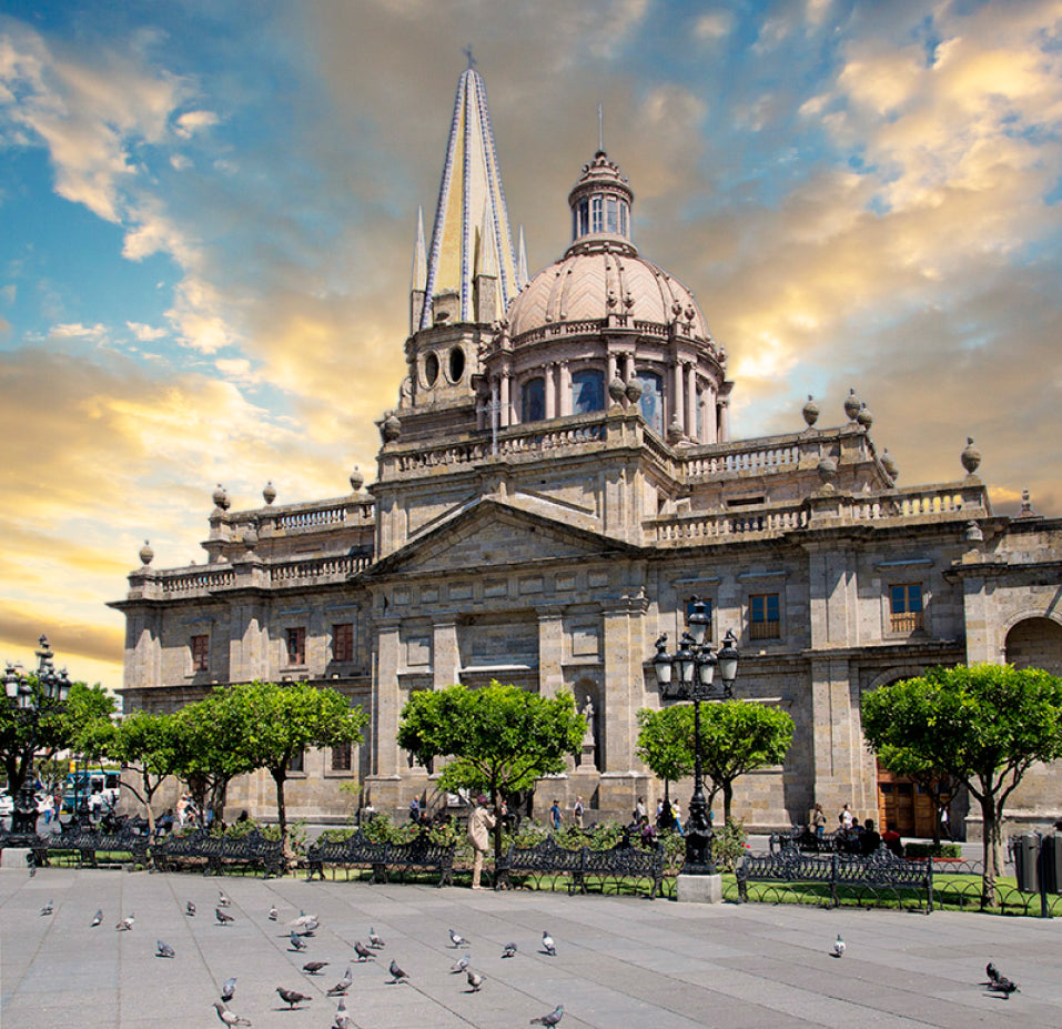 I was born in                                         Guadalajara, Jalisco.
